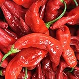 Sherwoods Seeds Aji Strawberry Drop Limon Kellu