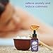 Lavender Essential Oil [Relaxing Scent] - Glass Amber Bottle with DropperOrganic Pure Therapeutic French for Diffuser, Aromatherapy, Headache, Pain, Sleep-Perfect for Candles & Massage (1-oz)