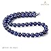 BEADNOVA Blue Lapis Lazuli Beads Natural Crystal Beads Stone Gemstone Round Loose Energy Healing with Crystal Stretch Cord for Jewelry Making (10mm, 36-38pcs)