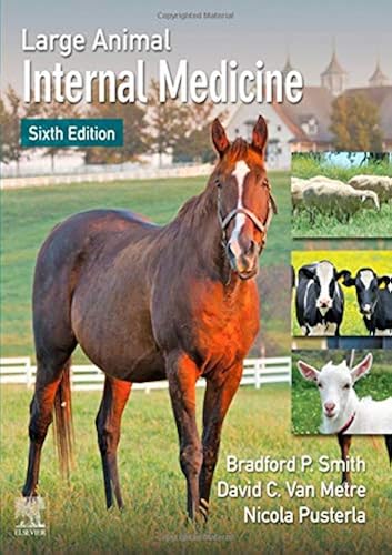 Download Large Animal Internal Medicine PDF