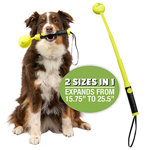 Hyper Pet Dog Ball Launcher, Dog Ball Thrower-Interactive Dog Toys