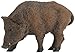 Wild Sow
