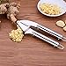 Garlic Press, ChicAid Stainless Steel Mincer Crusher with Garlic Roller Peeler Set, Rust-Proof, Easy Squeeze, Easy Clean