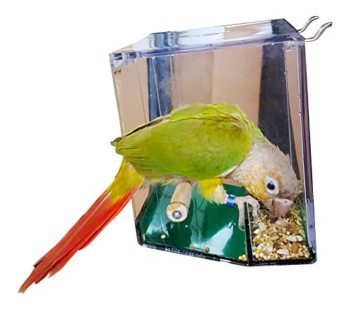 4 Birds+LOVE+Lovebirds+Cockatiels+Conures+Bird