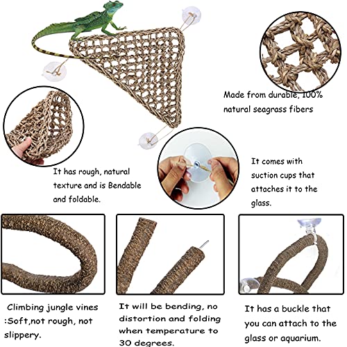 Bearded Dragon Tank Decor Set - Resin Skull, Hammock, Coconut Hut, Vines & Leaves