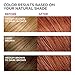 L'Oreal Paris Excellence Creme Permanent Hair Color, 6R light Auburn, 100 percent Gray Coverage Hair Dye, Pack of 3