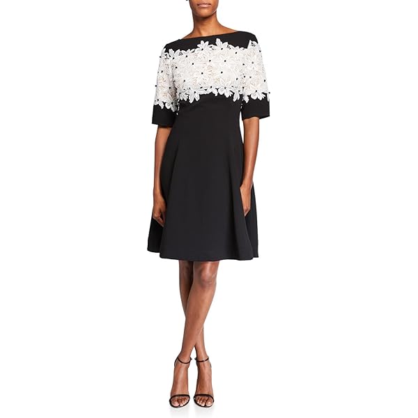 shani fit and flare dress Buy Online Floral Appliqué Colorblock Fit & Flare Lace Dress for Women main image 0