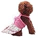 Binmer(TM)Pet Dog Clothes Puppy Flower Skirts Dress Crystal Bowknot Lace Floral Pet Princess Clothes (XL)