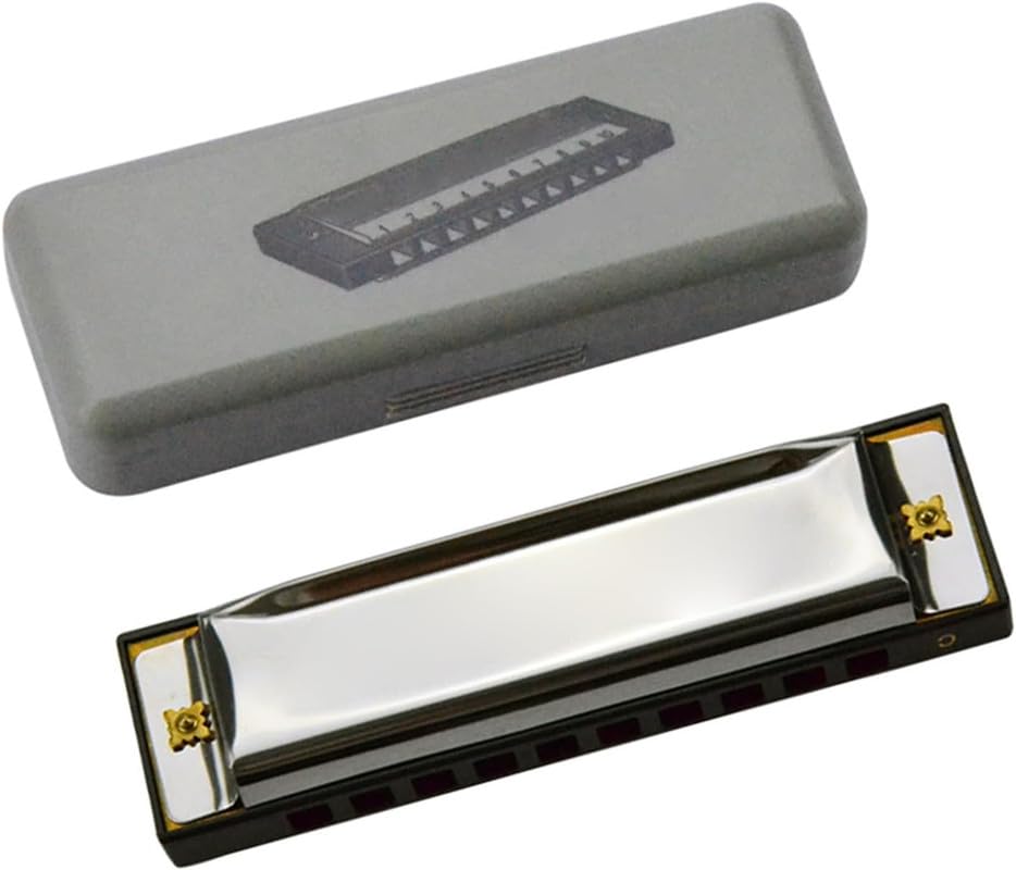ProBytes Diatonic Harmonica in C Key-Scale - 10 Holes Symphony Mouth Organ, Steel-ABS, Gift-Carry Case, Artists, Professionals, Beginners, Adults, Stage Performer, Juniors, Musical Instrument – Silver