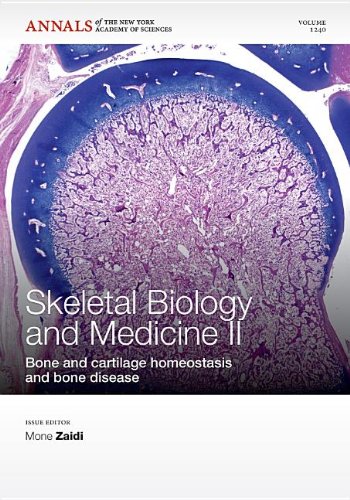 Skeletal Biology and Medicine II - Bone and cartilage homeostasis and bone disease