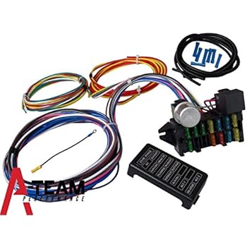 Amazon.com: EMPI 00-9466-0 WIRE LOOM KIT, VW BUGGY, SAND ... vw dune buggy wiring harness universal 