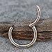 Hinged Seamless WildKlass Jewely Septum Clicker Ring 316L Surgical Steel (Sold Individually) (18GA 6mm Rose Gold)