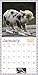 Pocket Pigs 2017 Calendar: The Famous Teacup Pigs of Pennywell Farm