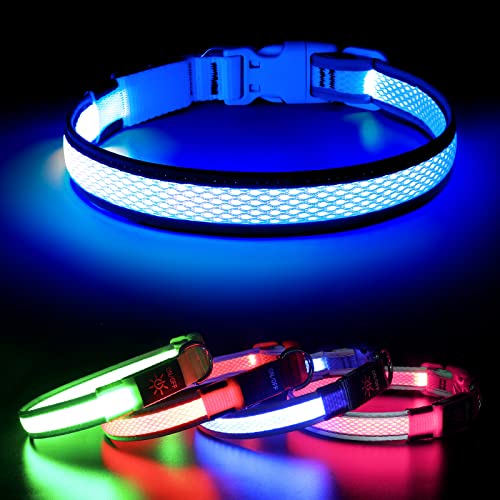 BSEEN Light Up Dog Collar