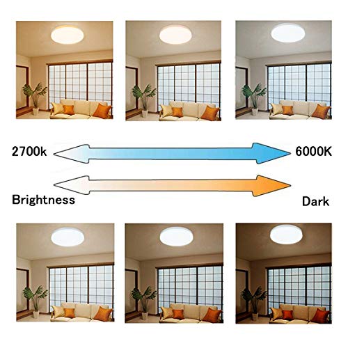 2 W+LITE+Flushmount+Remote+13+3000K+6000K+Changeable