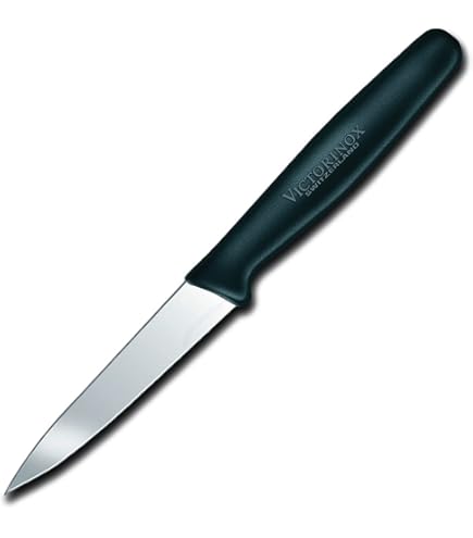Amazon.com: Victorinox Swiss Army 6.7703 Swiss Classic Straight