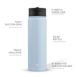 JoyJolt Triple Insulated Water Bottle with Straw