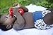 GroVia Reusable Hybrid Baby Cloth Diaper Hook & Loop Shell (Topaz)
