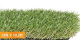PZG Premium Artificial Grass Patch w/ Drainage Holes & Rubber Backing | 4-Tone Realistic Synthetic Grass Mat | 1.6-inch Blade Height |Extra-Heavy & Soft Pet Turf | Lead-Free Fake Grass for Dogs or Outdoor Decor | Size: 23' x 13.2'