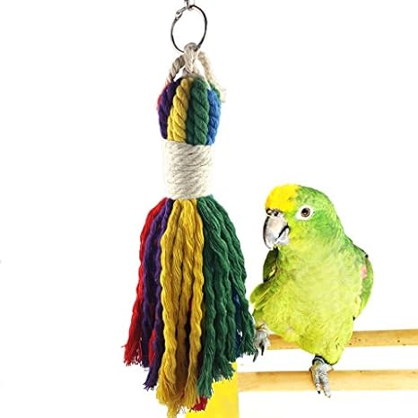 Bwogue Coloré Corde Jouet Pour Oiseau Pet Cage à Oiseaux