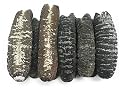 Dried Seafood Dried Australia Sea Cucumber 300g æ¾³æ´²ç¦¿åƒ Free Worldwide Airmail