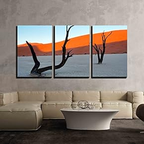 3 Piece Canvas Wall Art - Petrified Trees Against Red Dunes. Shot in Deadvlei, Naukluft National Park - Modern Home Art Stretched and Framed Ready to Hang - 16"x24"x3 Panels