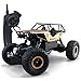SZJJX RC Cars Off-Road Rock Vehicle Crawler Truck 2.4Ghz 4WD High Speed 1:14 Radio Remote Control Racing Cars Electric Fast Race Buggy Hobby Car Golden