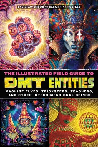 Sacred Mirrors: The Visionary Art of Alex Grey - Kindle edition by