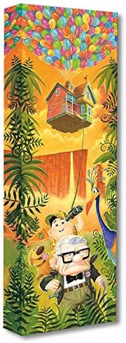 Disney Fine Art Journey to Paradise Falls by Tim Rogerson Treasures on Canvas Up 24 Inches x 8 Inches Reproduction Gallery Wrapped Canvas Wall Art