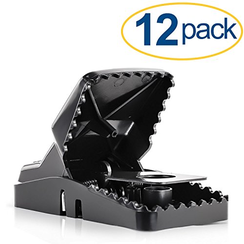 Large Powerful Rat Traps (12 Pack) - Kills Instantly with Powerful Steel Spring - Setup in Seconds - Wash & Reuse Over & Over - Hands Free Disposal - Rat Control without Harmful Poisons or Chemicals