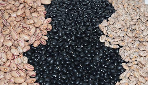 Dry Beans - Black Turtles, Pinto, and Cranberry. 2Lbs Each = 6 Pounds. Rocky Mountain Beans. Food Storage Super Food For Emergency Or Disaster