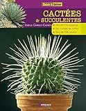 Cactées & succulentes by 