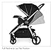 RECARO Performance Denali Luxury Stroller, Onyx