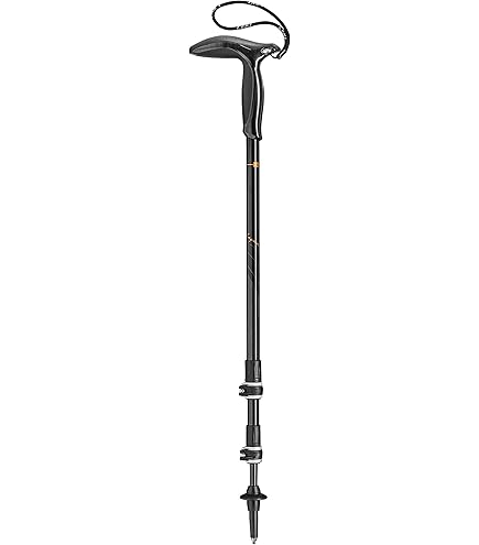 Amazon.com : LEKI Super Micro Aluminum Adjustable