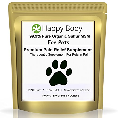 Top 5 Best dog arthritis pain relief for sale 2017 Save Expert