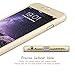 Ipaky Thin Exact-Fit [Gold] Premium Matte Finish Hard Dual Layer Case with Tempered Glass Screen Protector for iPhone 6/6S Plus 5.5'' [Gold]