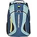 SwissGearÂ Mercury Backpack With 16