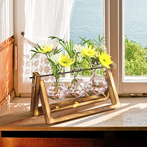 Waytoeast Propagation Stations Desktop Air Plant Terrarium - Glass Planter 3 Diamond Glass Vase with Swing Wooden Stand for Hydroponics Plants Home Garden Office Decor