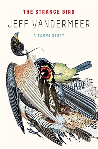The Strange Bird A Borne Story Jeff Vandermeer 9780374537920