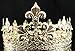 Janefashions Men's Full Round Circle King Metal Hair Jewelry Crown Austrian Rhinestone Crystal Fleur-de-lis Theater Medieval Times T1876g Gold