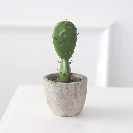Amazon Tangist 欧風 幸運置物 ジュエリーアートクラフトセメント鉢植えサボテン像北欧プラントモデルデスクトップオフィスのギフト6 玄関 テレビ棚 風水 開運 置物 オブジェ オンライン通販