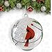 BANBERRY DESIGNS Cardinal Christmas Ornament - Light Up Glass Ball Ornament Cardinal Design - White Snow and Glitter Inside