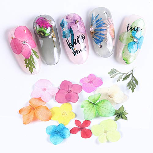 editTime 36 PCS Nail Dried Flowers Daisy Hydrangea Macrophylla and Leaf for Manicure Natural Real Dry Flower Kit 3D Nail Art Sticker Flower Beauty Nail Stickers