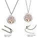 BESTTERN Aromatherapy Essential Oil Diffuser Necklace/316L Surgical Steel Locket With Two Chains and 8Pads