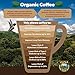 Low Acid Organic Coffee – Whole Bean, Mold-Free & Stomach Friendly by Java Planet, Guatemalan Single Origin Coffee, Medium Roast, Smooth Full Flavored, 2x1LB Bag