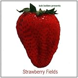 Bob Belden Presents: Strawberry Fields