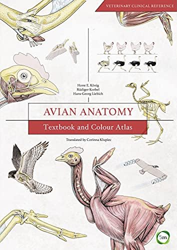 Veterinary Anatomy of Domestic Animals: Textbook and Colour Atlas