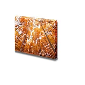 Canvas Prints Wall Art - Bright Yellow Tall Trees in Autumn Viewed from Bottom | Modern Home Deoration/Wall Art Giclee Printing Wrapped Canvas Art Ready to Hang - 12" x 18"