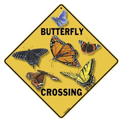 Butterfly Crossing Signs Kritters in the Mailbox Butterfly Xing Signs