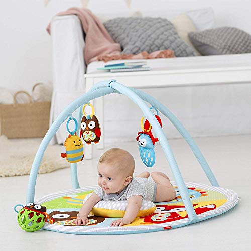 skip hop funscape activity gym